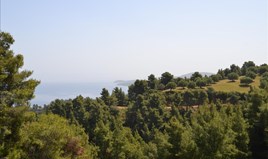 Land 4650 m² in Kassandra, Chalkidiki