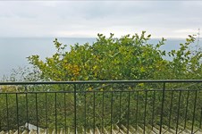 Property 16461 photo 3