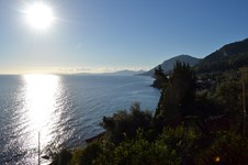 Property 16463 photo 1