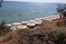 Property 16494 photo 2