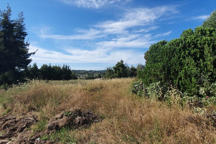 Realty photo 1