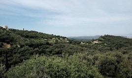 Land 17000 m² auf Korfu