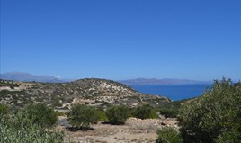 Land 4328 m² in Crete