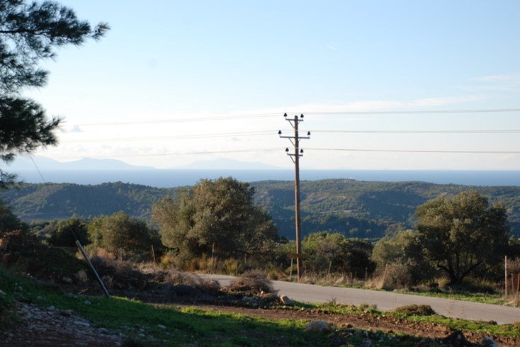 Realty photo 3