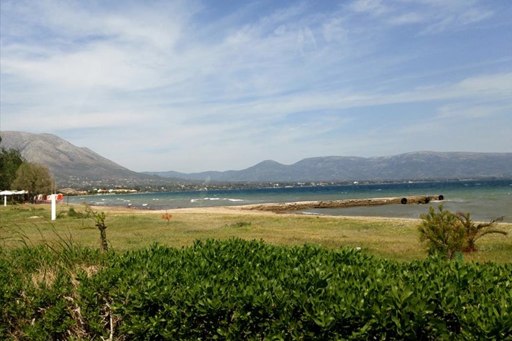 Realty photo 2