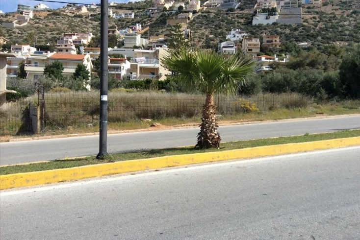 Realty photo 3