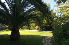 Property 16590 photo 21