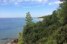 Property 16590 photo 31