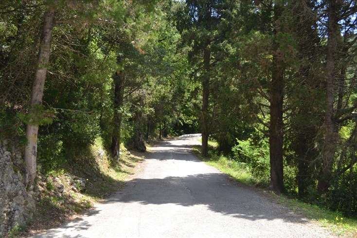 Realty photo 2