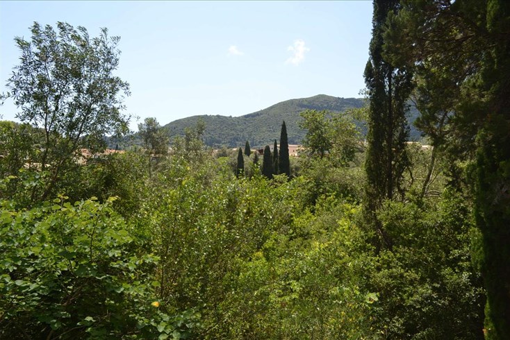 Realty photo 1