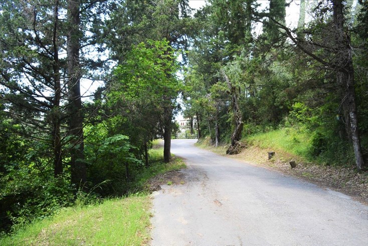 Realty photo 3
