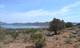 Land 5850 m² auf Kreta