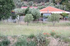 Property 16596 photo 1