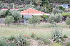 Property 16596 photo 2