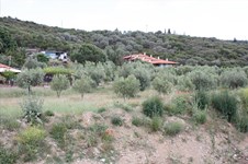 Property 16596 photo 6