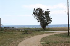 Property 16596 photo 7