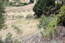 Property 16601 photo 2