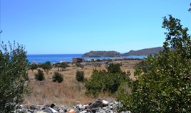 Парцел 24000 m² на Крит