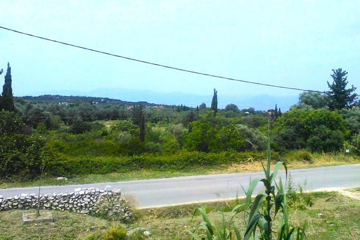 Realty photo 3