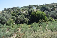 Property 16748 photo 3