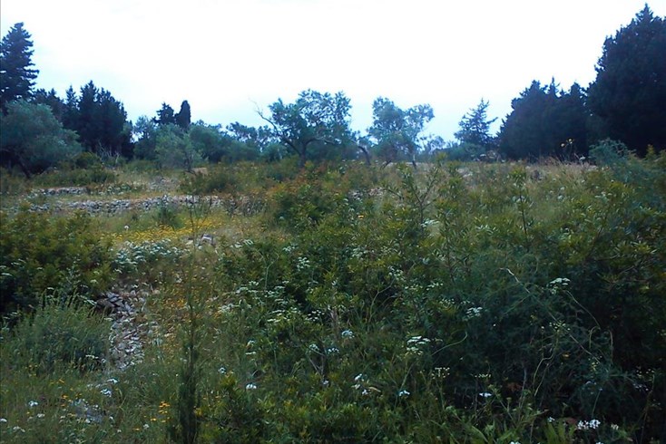 Realty photo 2