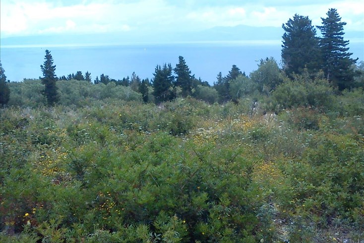 Realty photo 3