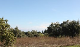 Land 4286 m² in Kassandra, Chalkidiki
