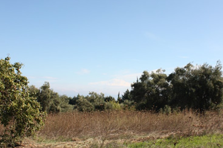 Realty photo 1
