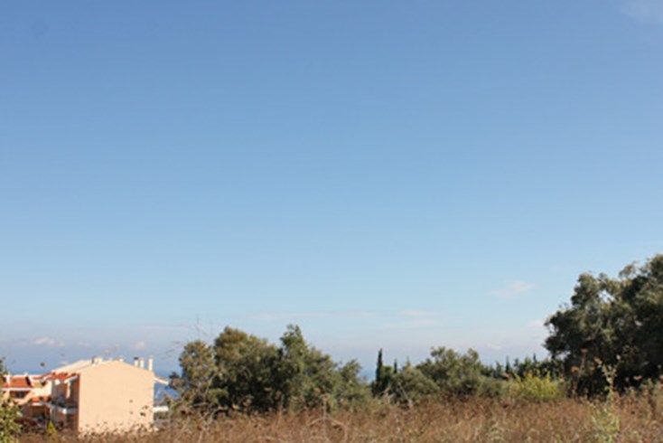 Realty photo 3