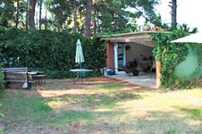 Property 174 photo 13