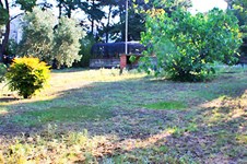Property 174 photo 14