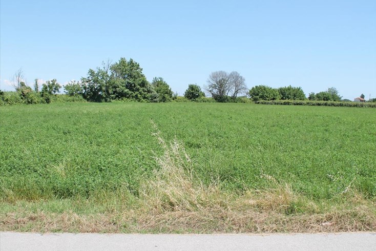 Realty photo 1