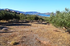 Property 17764 photo 3