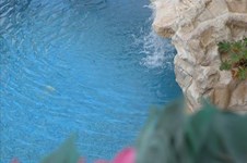 Property 17796 photo 8