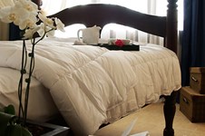 Property 179 photo 7