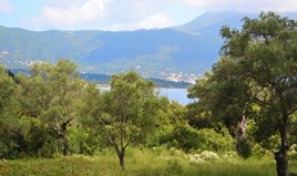 Land 5500 m² in Corfu