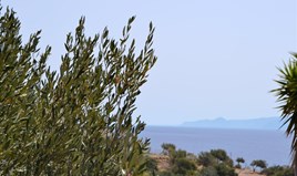 Land 3502 m² auf Kreta