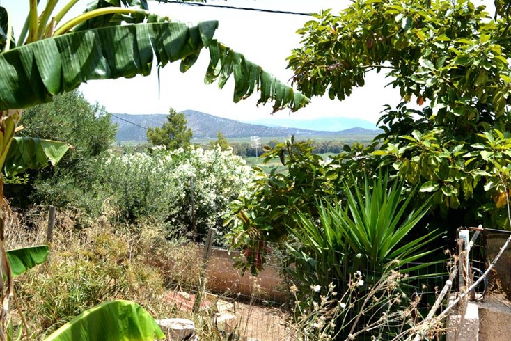 Realty photo 3