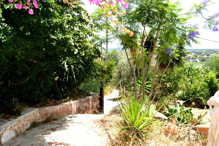 Realty photo 2