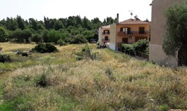 Terrain 1360 m² à Sithonia (Chalcidique)