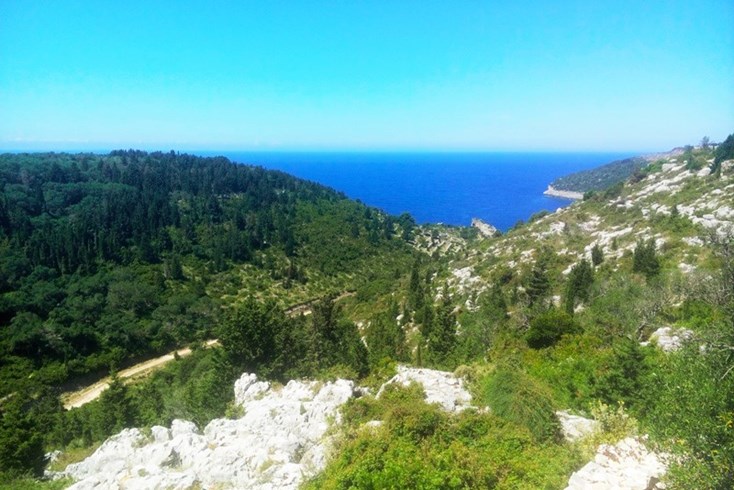 Realty photo 2