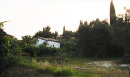 Land 3120 m² in Corfu