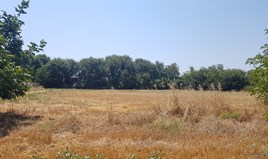 Land 7500 m² auf Kassandra (Chalkidiki)