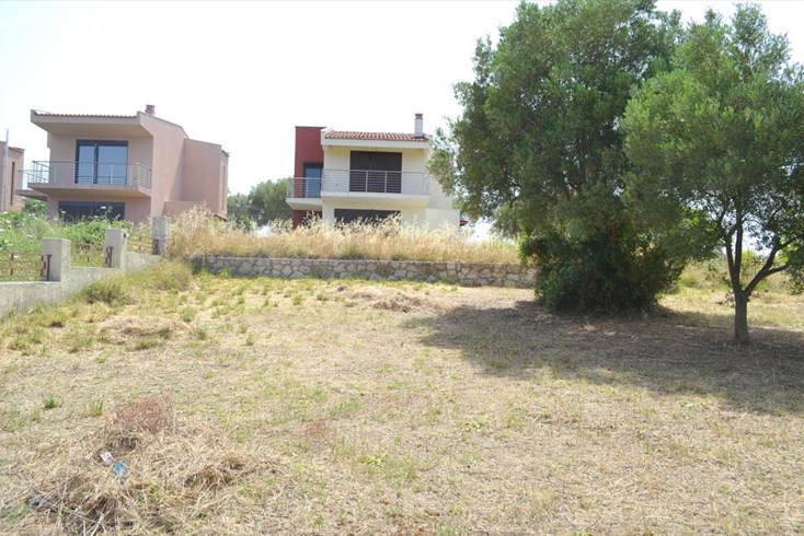 Realty photo 2