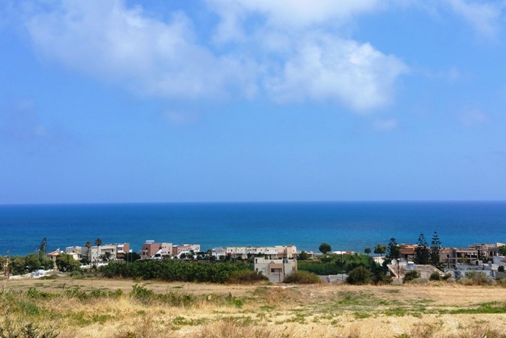Realty photo 2