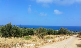 Land 20000 m² auf Kreta
