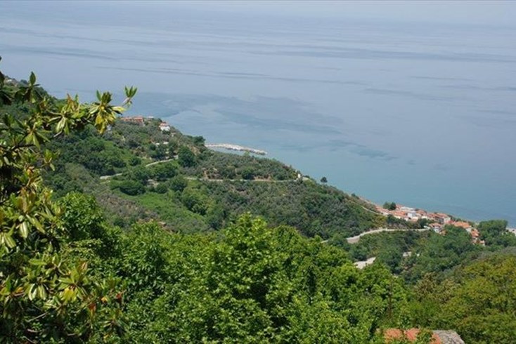 Realty photo 3
