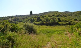 სასტუმრო 11142 m² კასანდრაზე (ქალკიდიკი)