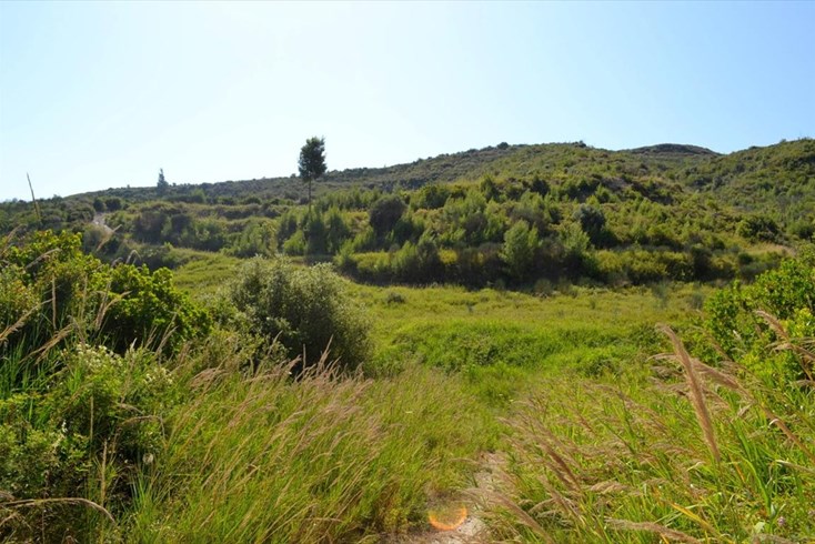 Realty photo 1