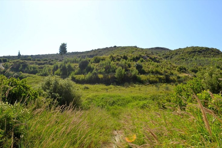Realty photo 2